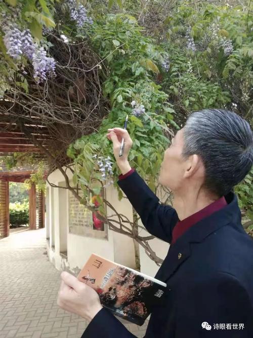 沧州申志辉书画作品网络展